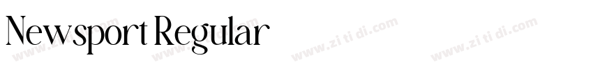 Newsport Regular字体转换 Newsport Regular字体转换